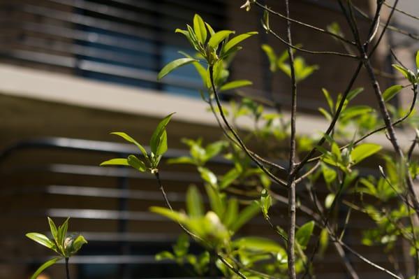 Lakewood Park Apartments