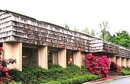 Bellevue Acupuncture Clinic