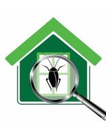 Ambush Pest Solutions