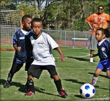 The Benton Harbor Alumni Association