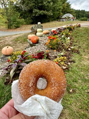Apple cider donut