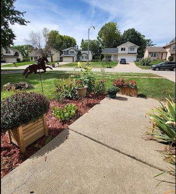 Mr. Spruce Tree Service LLC