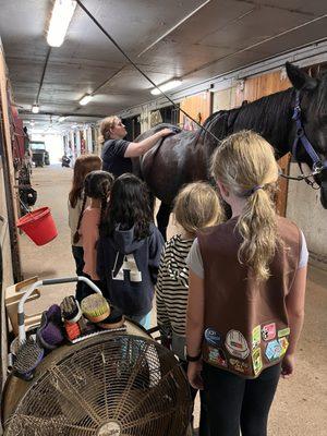 Windkist Equestrian Centre