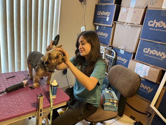 Mias Grooming Services