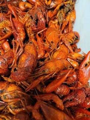 Boiled Crawfish $5.50/lb. Live Crawfish $2.75/lb
