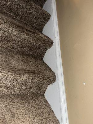 Bright Delight Cleaning