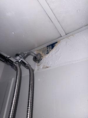 Damaged drywall caused by a leaking showerhead.