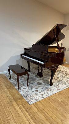 Easy Professional movers by Mario