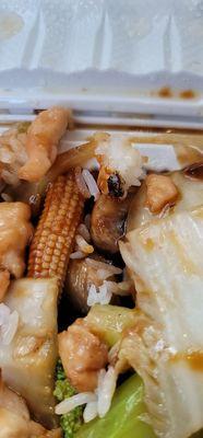 I found a croach in my food today, I will never gonna buy from this store again! if you buy from here check your food everytime.