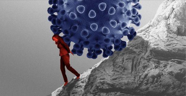 eXalt Sanitization Service