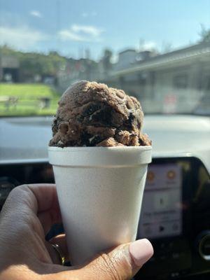 Doodle's Homemade Sorbets and Ices