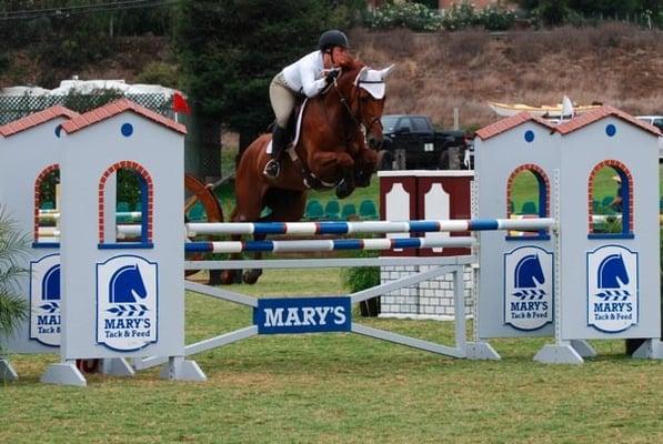 Hunters/Jumpers/Equitation and Sales at West View Farms