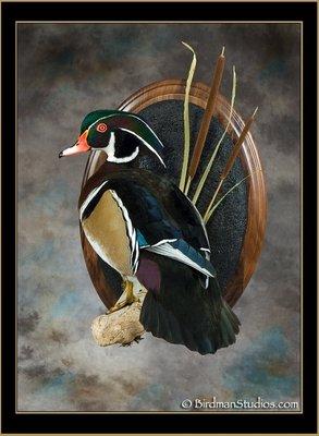 Hoosier Trapper Supply