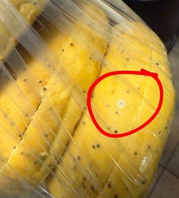 Mold on bagels