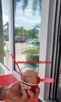 Ice cream- peanut butter Buckeye