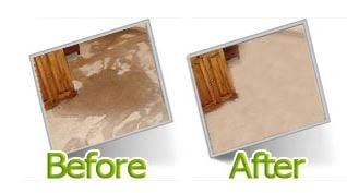 Carpet Cleaning Irving TX