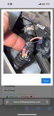 The pictures where the dealer send me