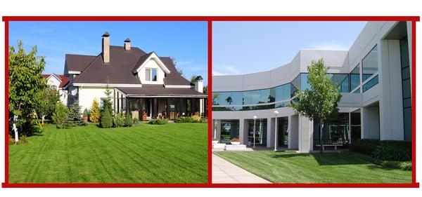 Collins Lawn/Insect Control