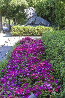 Connecticut Ave entrance to Smithsonian's National Zoo