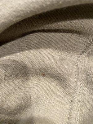 Volunteer Cabin Rentals