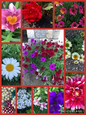 Appleton Lawncare & Landscape