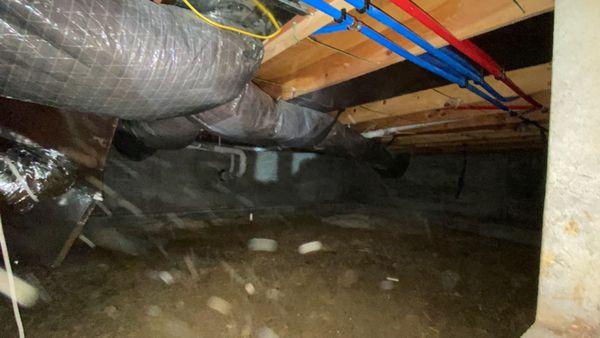 Klean Up with Keandraie