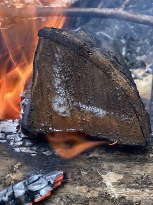Otter Creek Fun Center