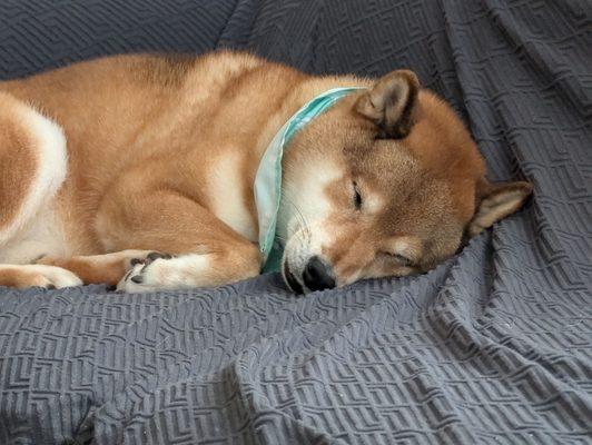 Norwalk Veterinary Hospital