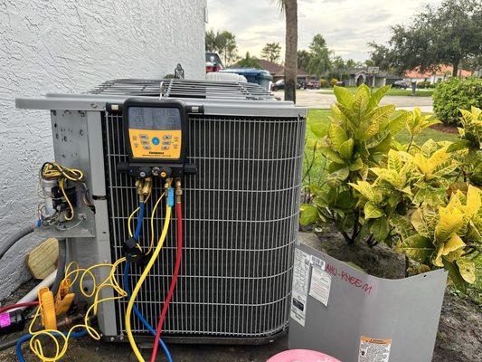 Laz P General Services