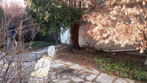 A little more of the Secret Garden! (Feb 2025)