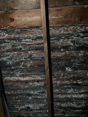 Clear Choice Home Improvements