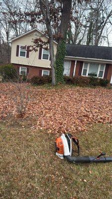 J & G Landscaping & Tree Service