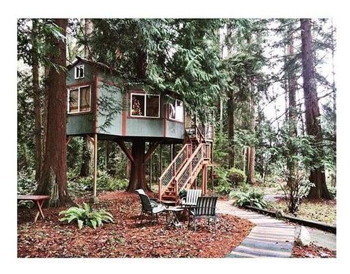 Whidbey Wellness in the Woods