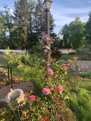 Chabad of Ellicott City