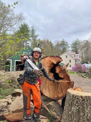 True American Tree and Property