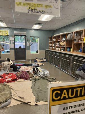 Old Friends Senior Dog Sanctuary