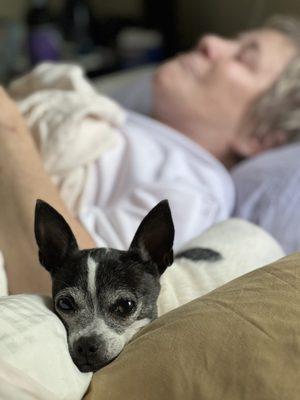 Healthy Spot - Playa Vista