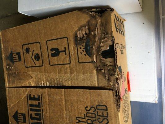 The box that was sitting in the trunk of my car, sitting on the acid-soaked upholstery