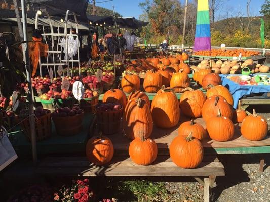 Culver Lake Nursery & Farm Market