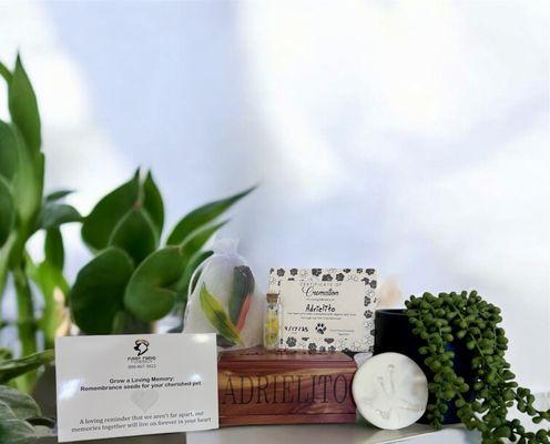 Furry Friend Funerals