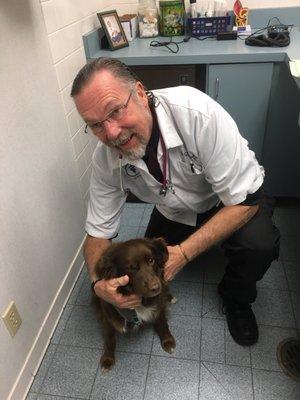 Gene F Giggleman, DVM