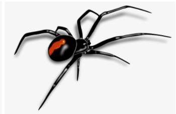 Do Or Die Pest Control