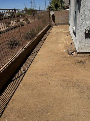 Junkfree Landscaping