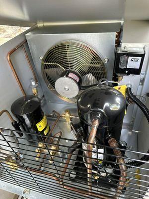 Nieves Complete Services