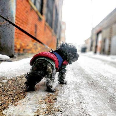 Detroit Walk City