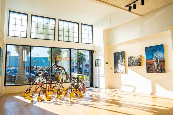 Rotating exhibits, new work on display every few weeks