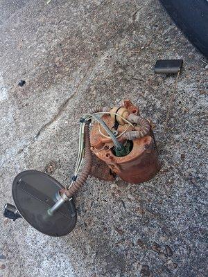 Mccullum's Masterpiece