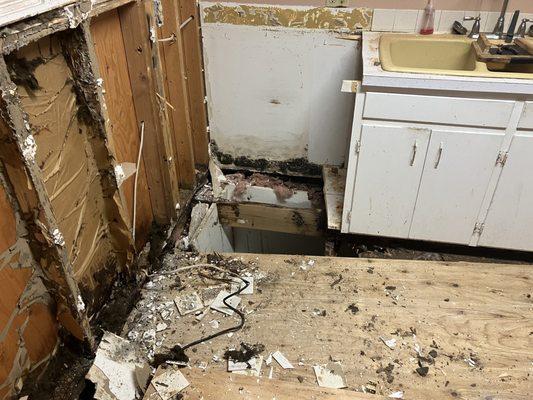 The Wanderer Services