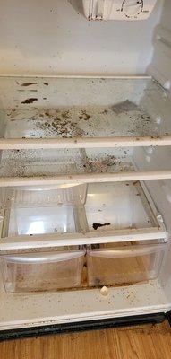 Wonder Cleaning Services