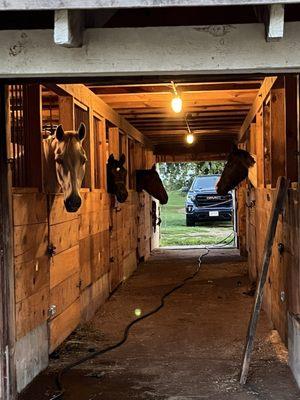 Bits & Pieces Stables